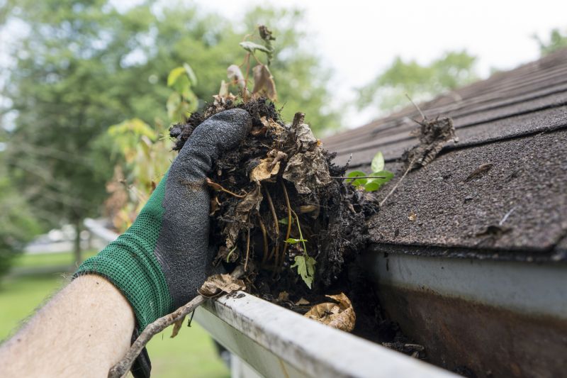 Clogged Gutter Clearing in Pittsburgh, PA
