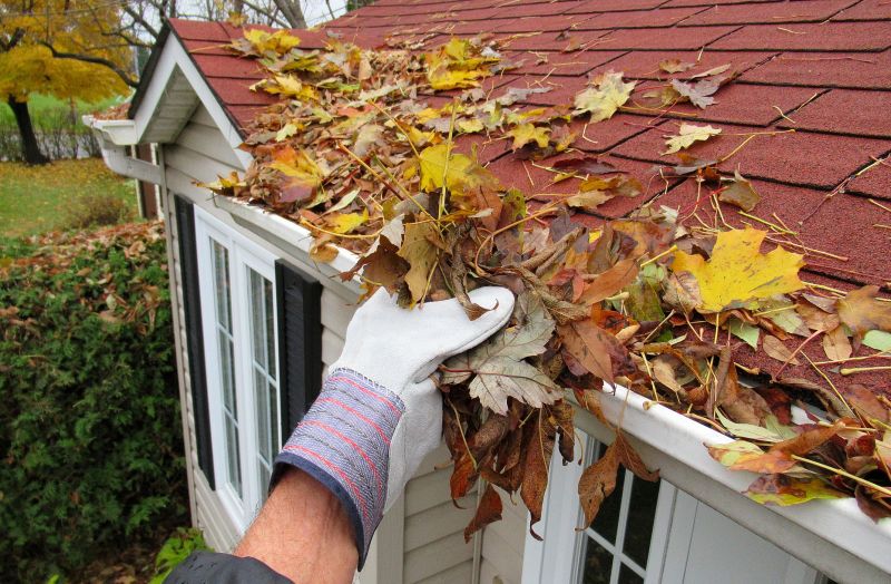 Rain Gutter Clearing in Frederick, MD
