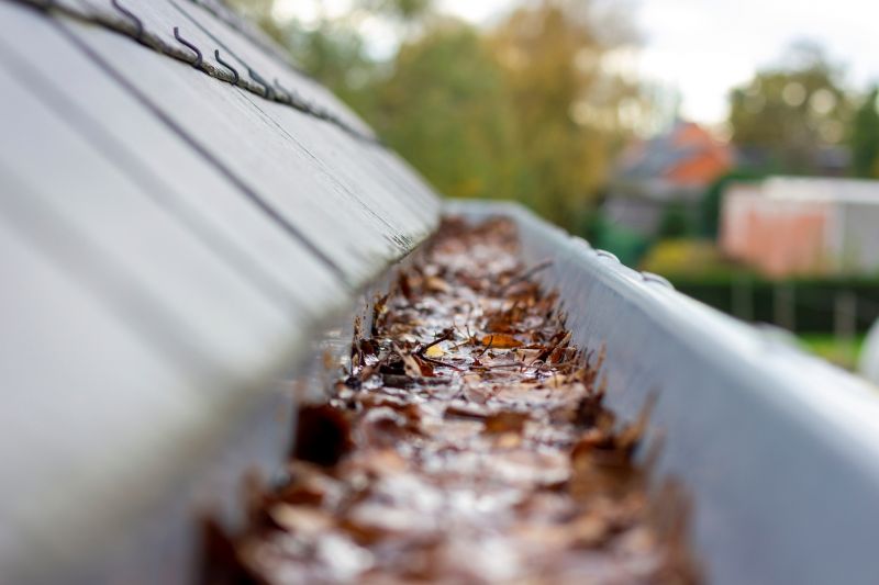 Commercial Gutter Unclogging in Littleton, CO