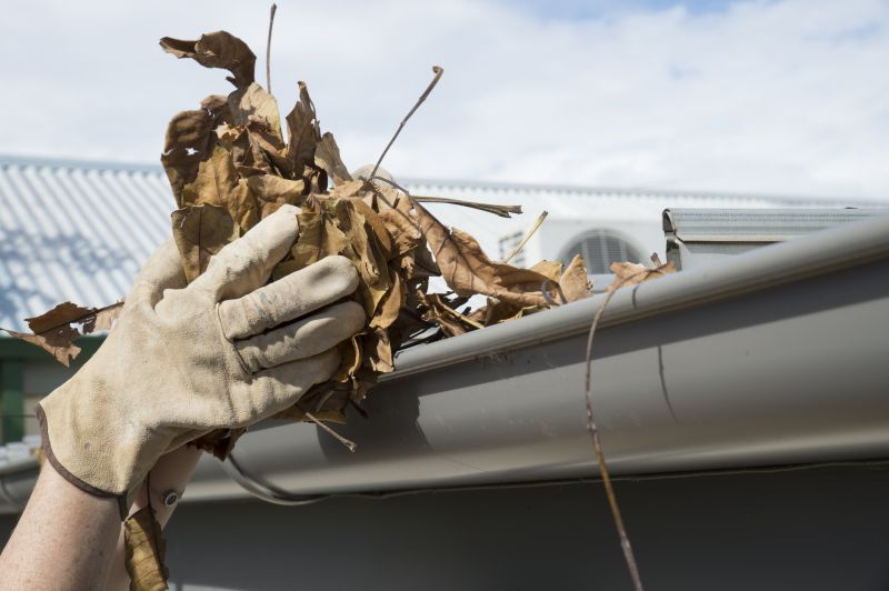 Gutter Leaf Clearing in Long Island, NY