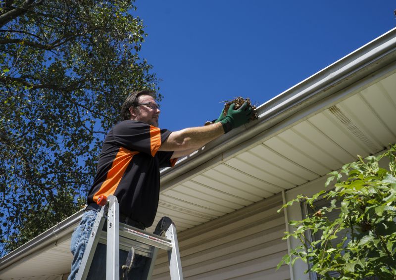Gutter Leaf Clearing in Baltimore, MD
