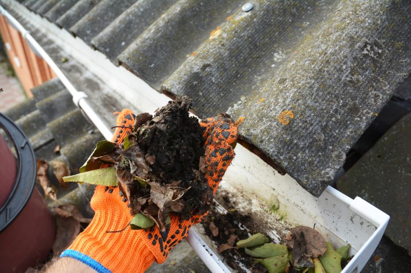 Gutter Leaf Clearing in Rochester, NY