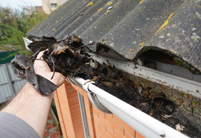 Gutter Leaves Removal in Morris County, NJ