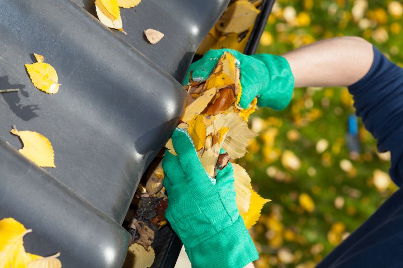 Gutter Maintenance in Frederick, MD