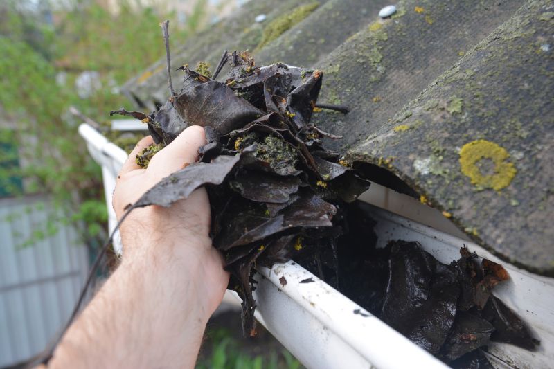 Gutter Maintenance in Fredericksburg, VA