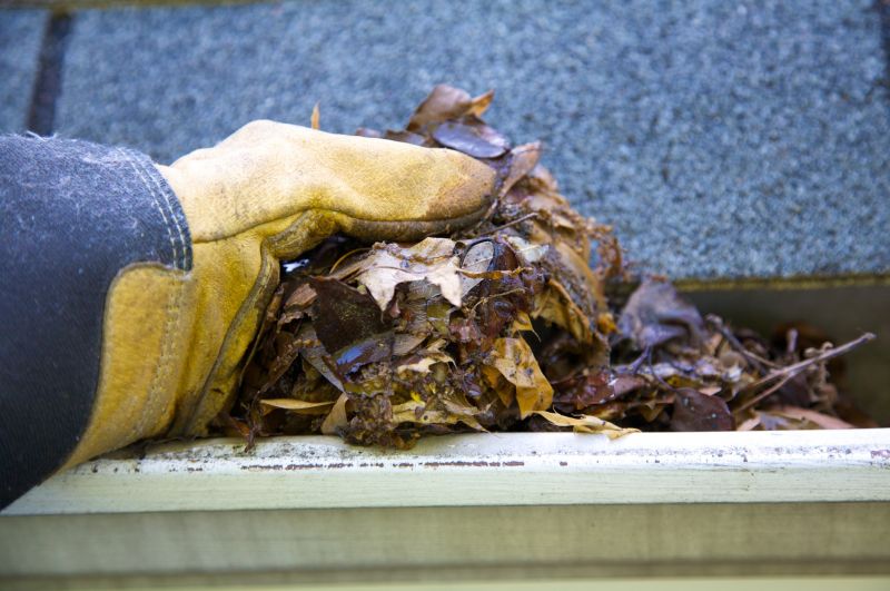 Rain Gutter Clearing in Monmouth County, NJ